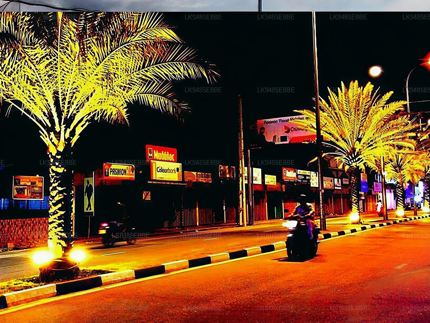 Date Palm Avenue 4